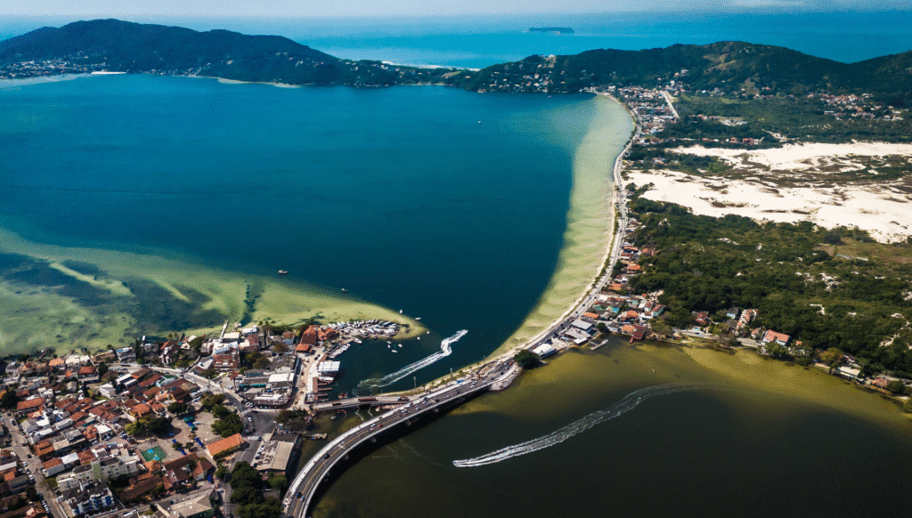 turistas estrangeiros