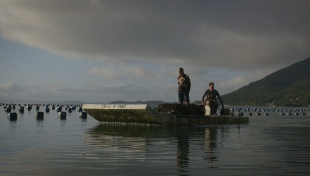 Ostras de Florianópolis
