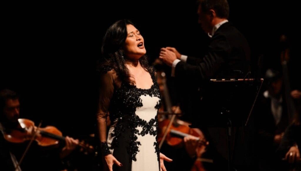 Concerto Japão Camerata